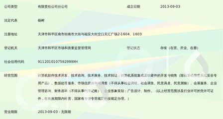 友眾信業金融信息服務（上海）有限公司天津和平區分公司信息技術咨詢服務解析